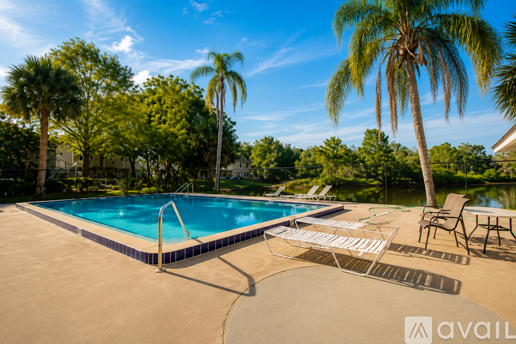 A pool surrounded by palm trees and lounge chairs.