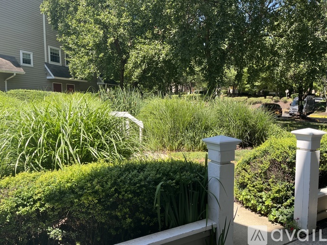 A white fence in front of a green hedge.