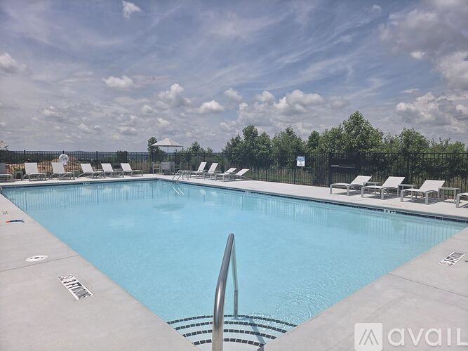 A large outdoor swimming pool with a metal ladder and sun loungers.