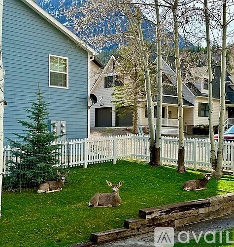 114 Spruce Court 2 Beds Townhouse for Rent - Photo gallery 2
