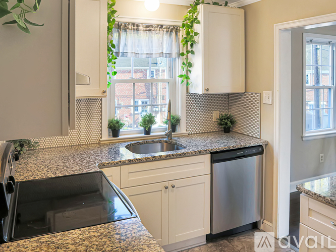 A kitchen with granite countertops and a window with plants hanging from it.