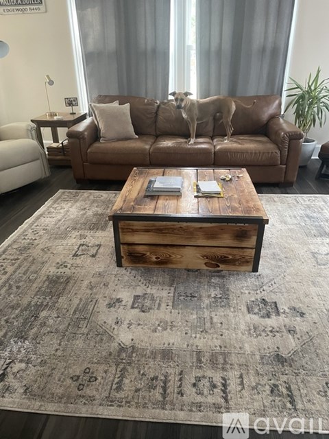 A dog is standing on a brown couch in a living room.