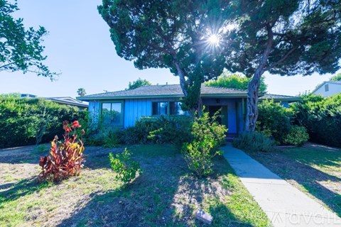 A house with a blue door is surrounded by greenery and has a tree in front of it.