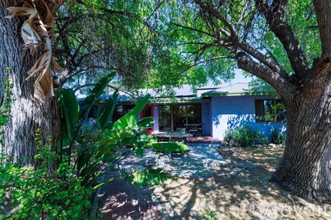 A house is surrounded by green plants and trees.