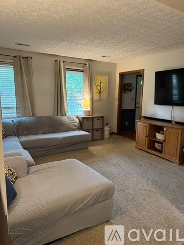 A living room with a grey couch and a television.