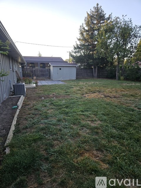 A backyard with a shed and a tree.
