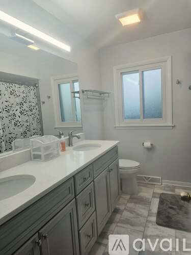 509 Pine Street 3 Beds Single Family Home for Rent - Photo gallery 3