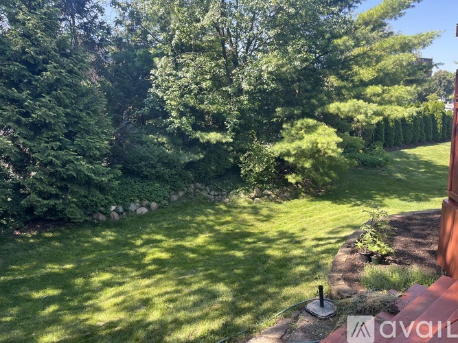 A backyard with a lawn and trees.