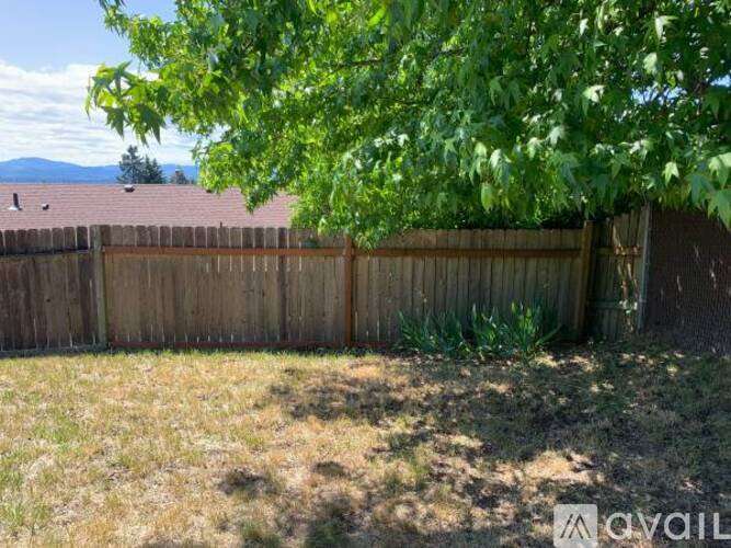 A backyard with a wooden fence and a tree in the foreground.