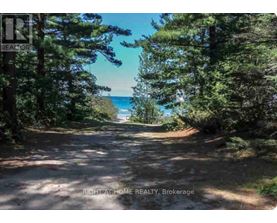 A dirt road with trees on both sides leading to a beach.