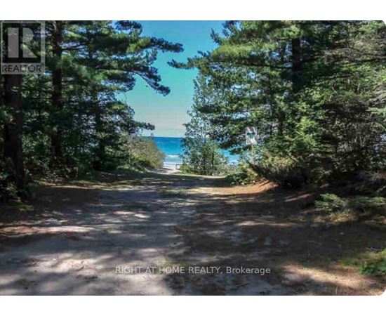 A dirt road with trees on both sides leading to a beach.