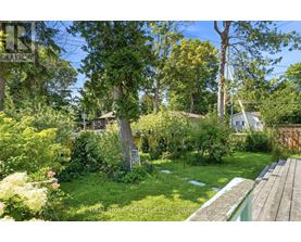 A lush green garden with a wooden bench in the foreground.