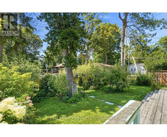 A lush green garden with a wooden bench in the foreground.