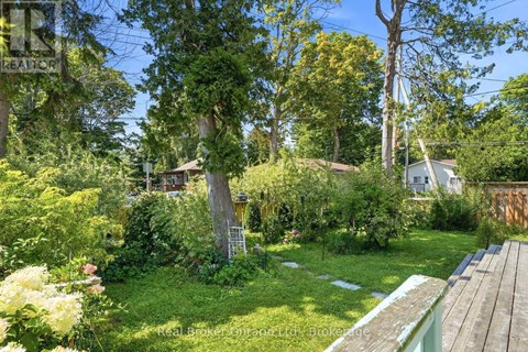 A lush green garden with a wooden bench in the foreground.