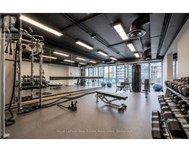 A gym with a variety of equipment including treadmills, weights, and exercise balls.