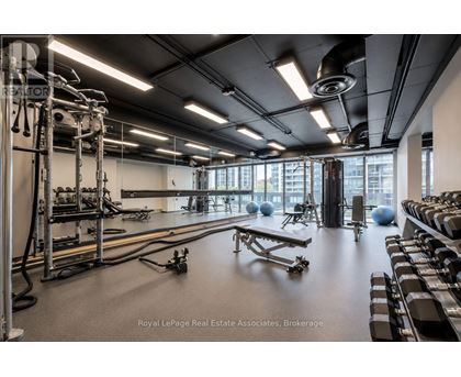 A gym with a variety of equipment including treadmills, weights, and exercise balls.