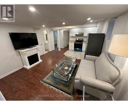 A living room with a fireplace and a television.