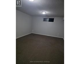 A room with a carpeted floor and a window.