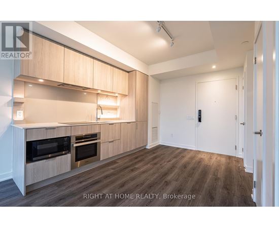 A modern kitchen with wooden cabinets and a white door.