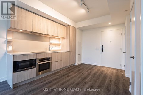 A modern kitchen with wooden cabinets and a white door.