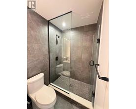 A bathroom with a toilet, a walk-in shower, and a glass door.
