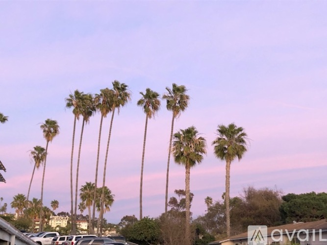 Palm trees are seen in a parking lot during sunset.
