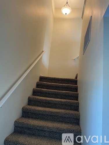A staircase with a carpeted runner and a white handrail.
