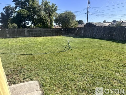 A backyard with a wooden fence and a hammock.