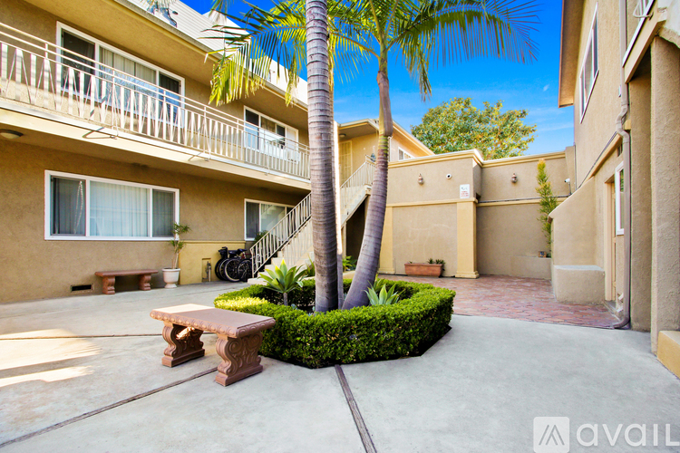 A palm tree stands in the middle of a courtyard with a bench and a hedge.
