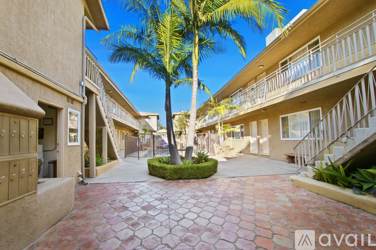A palm tree stands in a courtyard between two apartment buildings.