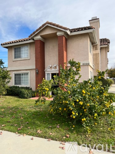 6030 Camellia Ave 4 Beds Apartment for Rent