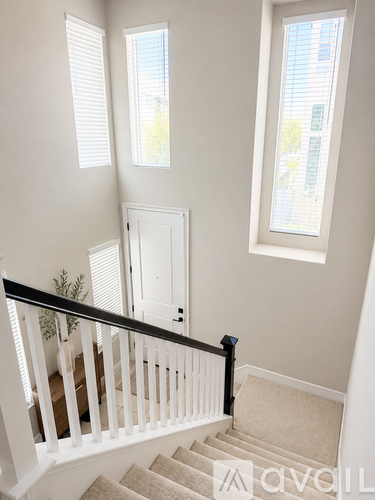 8162 Rose Quartz Circle 3 Beds Single Family Home for Rent - Photo gallery 2
