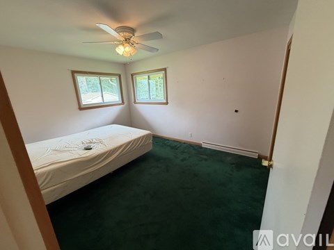 A bedroom with a bed, a ceiling fan, and two windows.