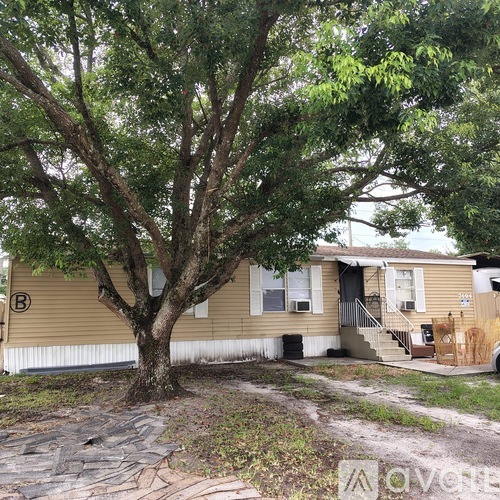 A tree in front of a beige house with a stone walkway.