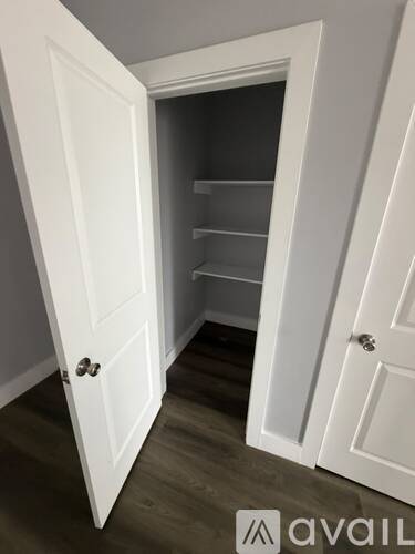 A white door is open to a small closet with shelves.