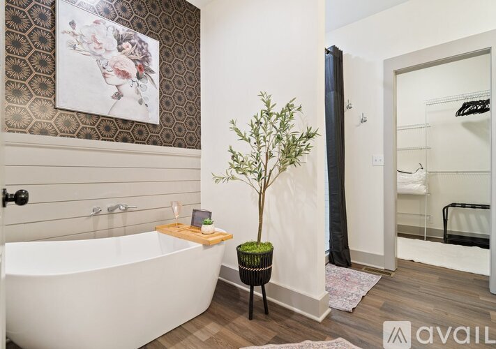 A bathroom with a white tub and a plant in a black pot.