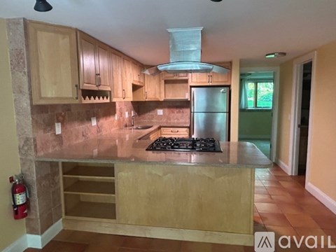 A kitchen with a stove top oven and a range hood.
