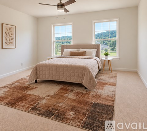 A bedroom with a large bed and a rug in the foreground.