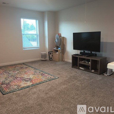 A living room with a television, a rug, and a window.