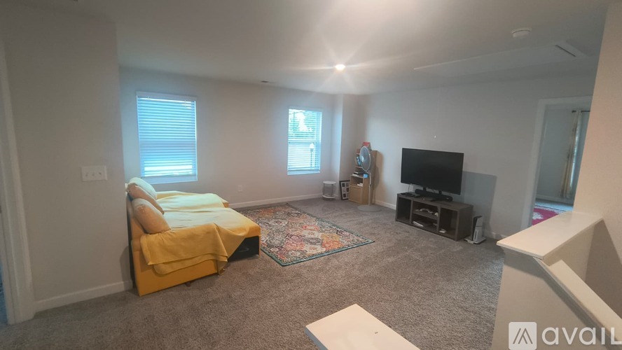A bedroom with a bed, a television, and a rug.