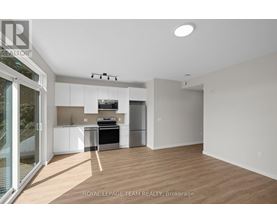A well-lit, empty room with a kitchen area in the background.