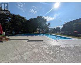 A pool surrounded by trees and a sunny sky.