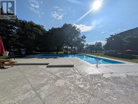 A pool surrounded by trees and a sunny sky.