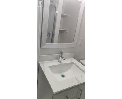 A white bathroom sink with a blue soap.
