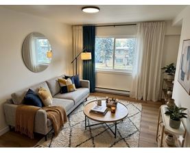 A living room with a grey couch, a round mirror, a coffee table, and a rug.