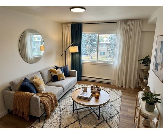 A living room with a grey couch, a round mirror, a coffee table, and a rug.