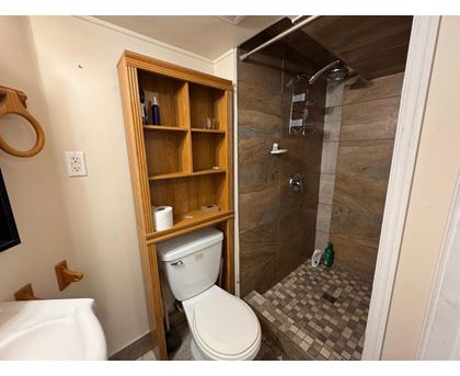 A bathroom with a toilet and a wooden shelf.