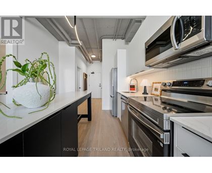 A modern kitchen with stainless steel appliances and a plant on the counter.