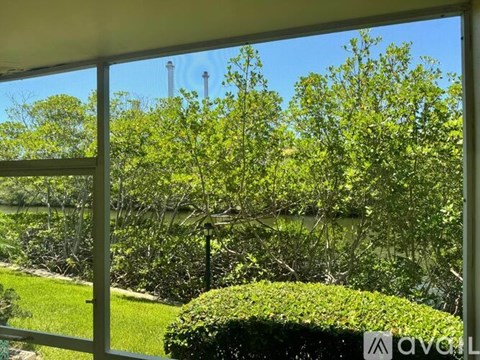 A view from a window looking out at a lush green garden.