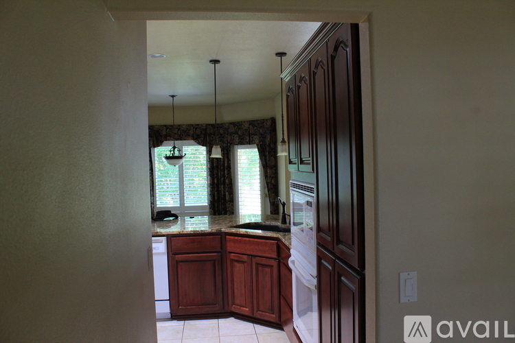 A kitchen with wooden cabinets and a window.